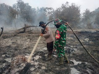 Luas Karhutla Siak Capai 273 Hektare, Kementerian Kehutanan Siapkan Strategi Khusus